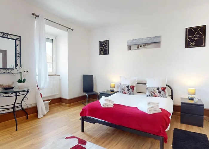 Les Cigognes D'alsace * Colmar