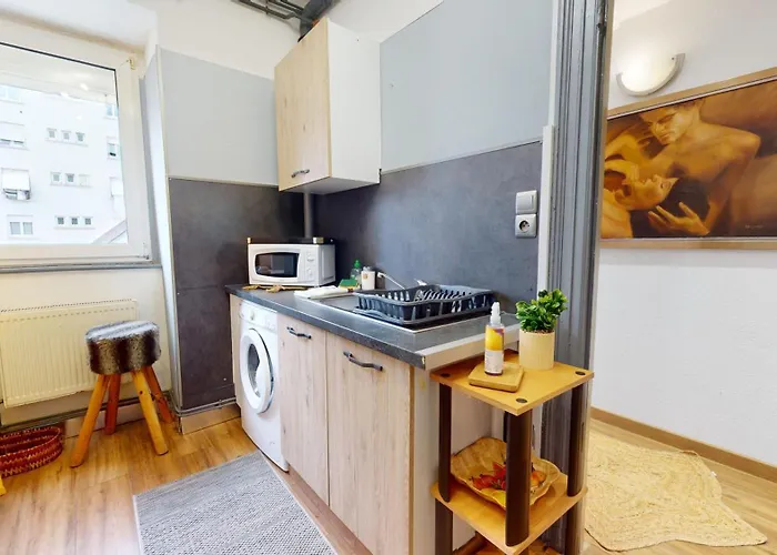 Les Cigognes D'alsace